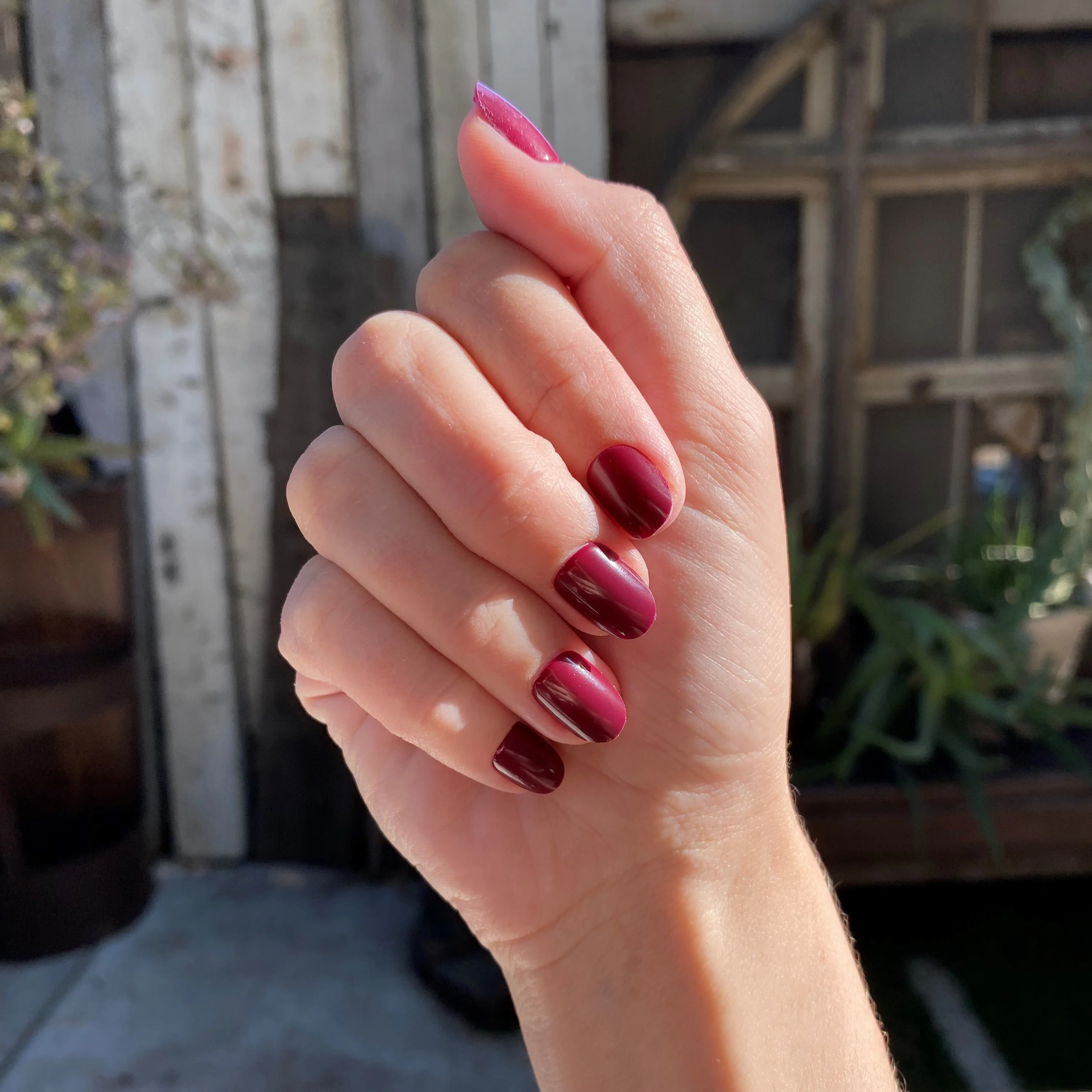 Thumb 5